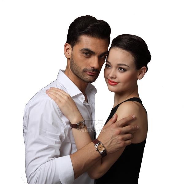 从海蒂斯顿手表图片了解其品牌渊源、制表工艺和商标含义