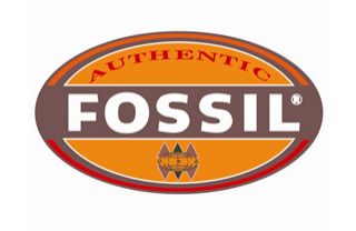 Fossil女表怎么样？Fossil，彰显个人风格的腕间必需品