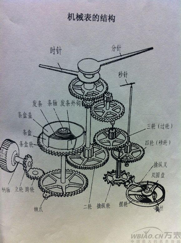机械表机芯结构图